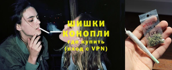 хмурый Дмитров