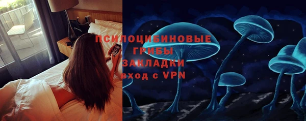 хмурый Дмитров