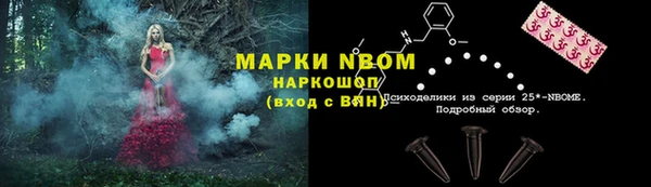 хмурый Дмитров