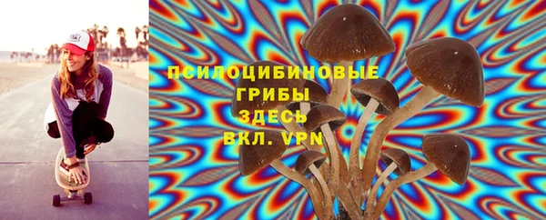 ALPHA PVP Дмитровск