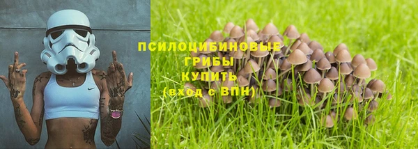 хмурый Дмитров