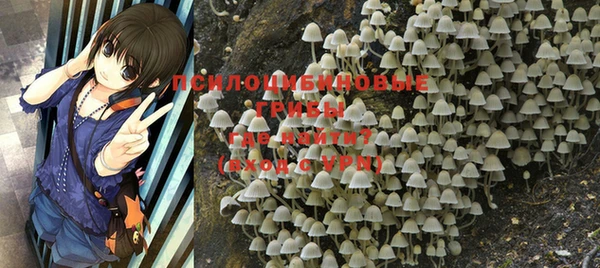 ALPHA PVP Дмитровск