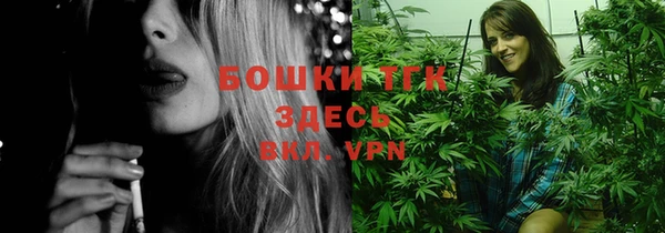 хмурый Дмитров